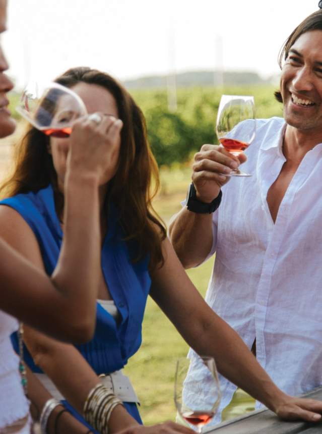 Group of people in conversation and sipping wine in a vineyard.