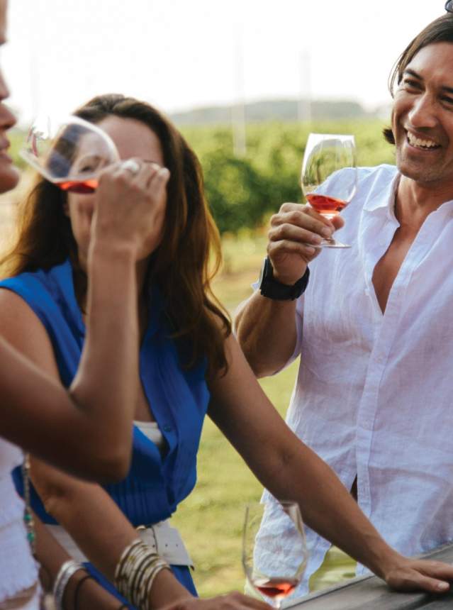 Group of people in conversation and sipping wine in a vineyard.
