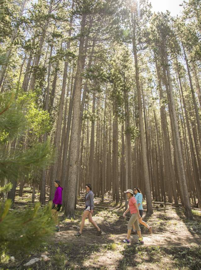 Hiking Puzzle
