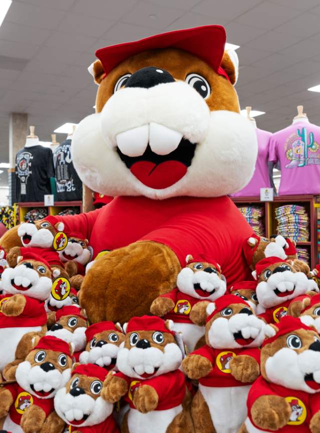 a display of plush "buc-ee" the beaver plush toys