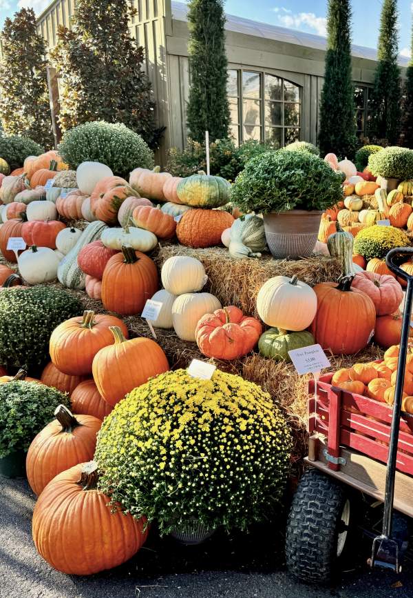 The Best Things to Do This Fall in Auburn-Opelika