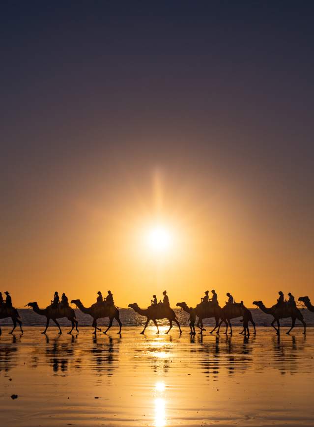 People and camels silhoutted against the setting sun on Cable Beach, Broome.
