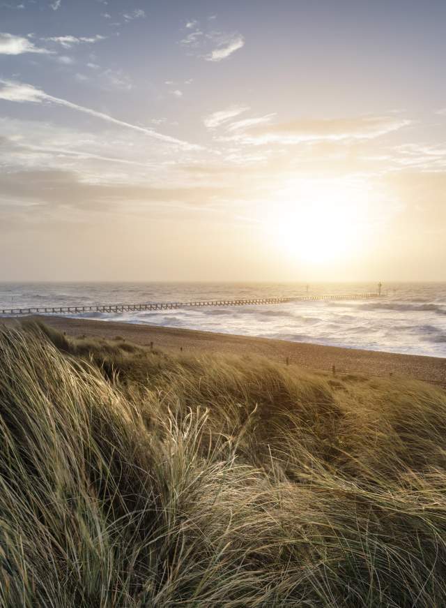 sand dunes at West Beach Littlehampton