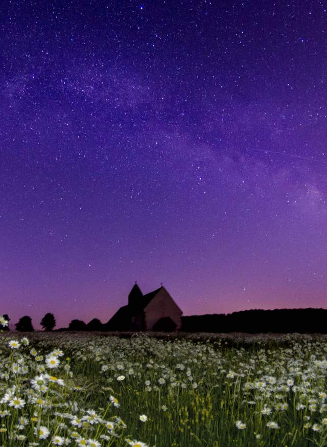 Inky blue and red night sky with white flowers in foreground, South Downs National Park in Sussex
