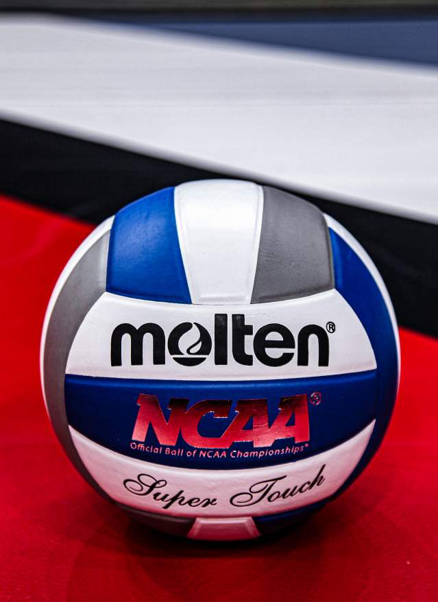 Volleyball on court