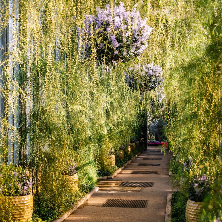 Winter Wonder 2024 Longwood