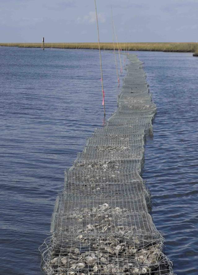 Coalition to Restore Coastal Louisiana - Oyster Shell Recycling Program Reef
