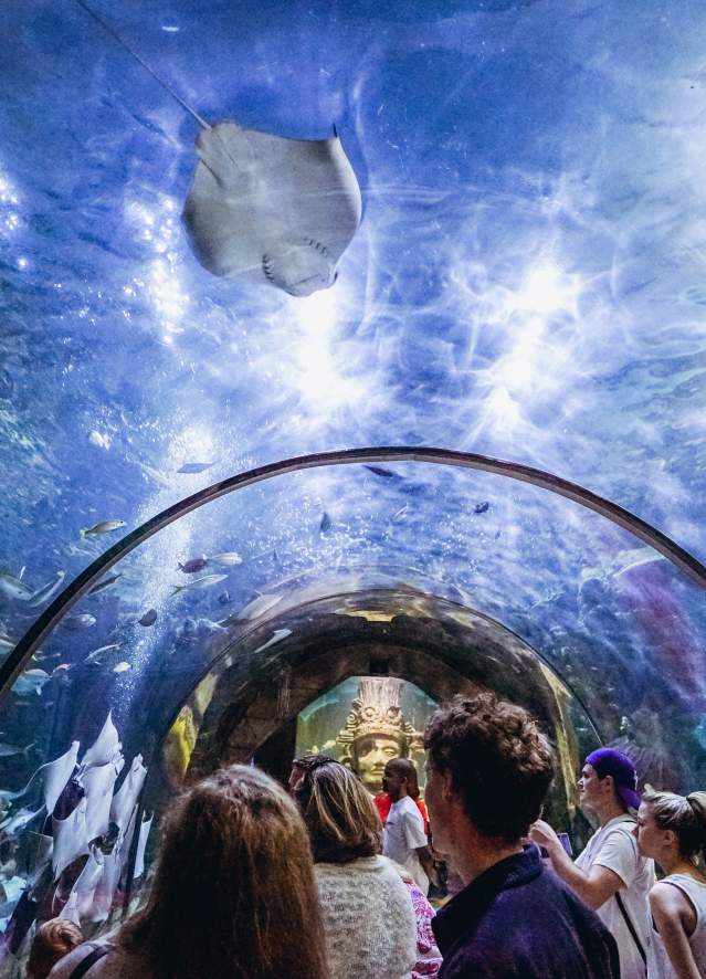 Audubon Aquarium