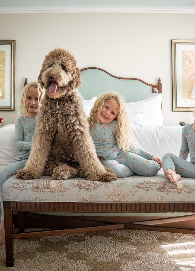Pampered Pets Program - Windsor Court