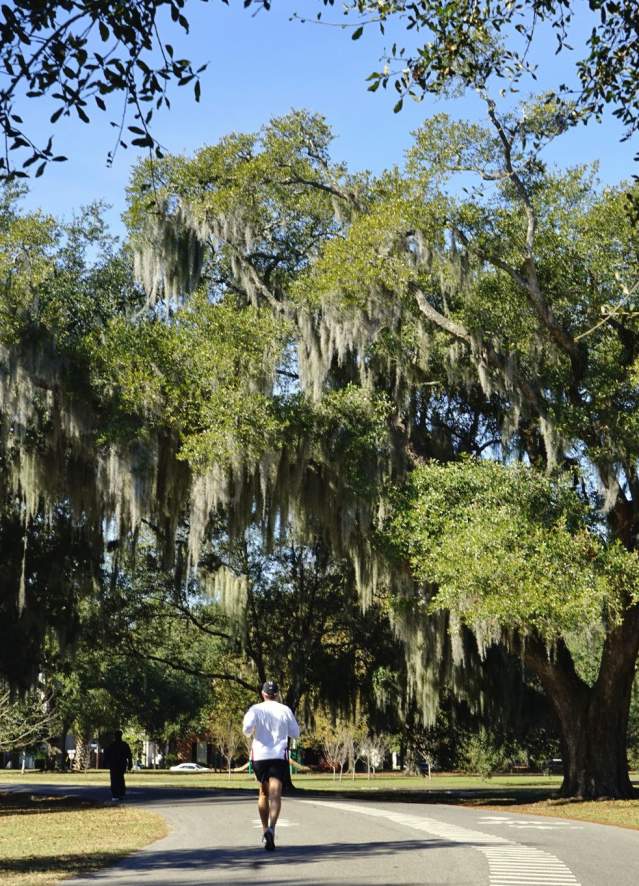 Running in Audubon Park
