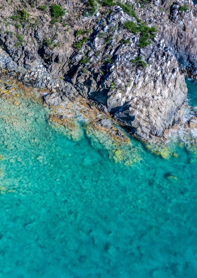 Little Bay Aerial
