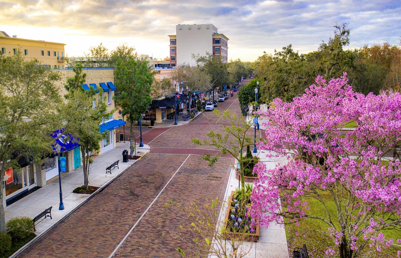 Tree-lined Park Avenue in Winter Park