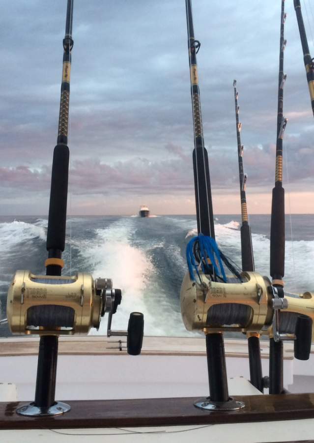 A Fisherman's Paradise