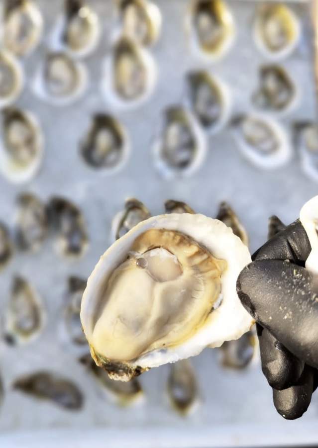 Roanoke Island Oyster Shellabration and BBQ