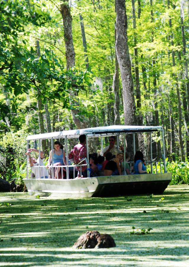 Slidell Things to Do - Honey island swamp tour