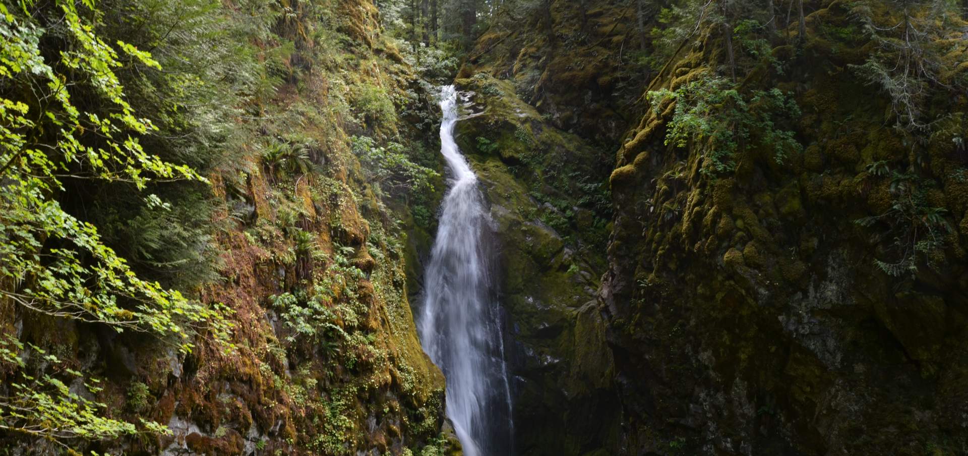Cottage Grove Waterfalls Eugene, Cascades and Oregon Coast