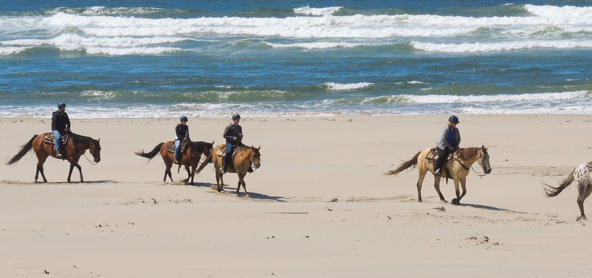 Horseback Riding | Eugene, Cascades \u0026 Oregon Coast, image size:1920x904
