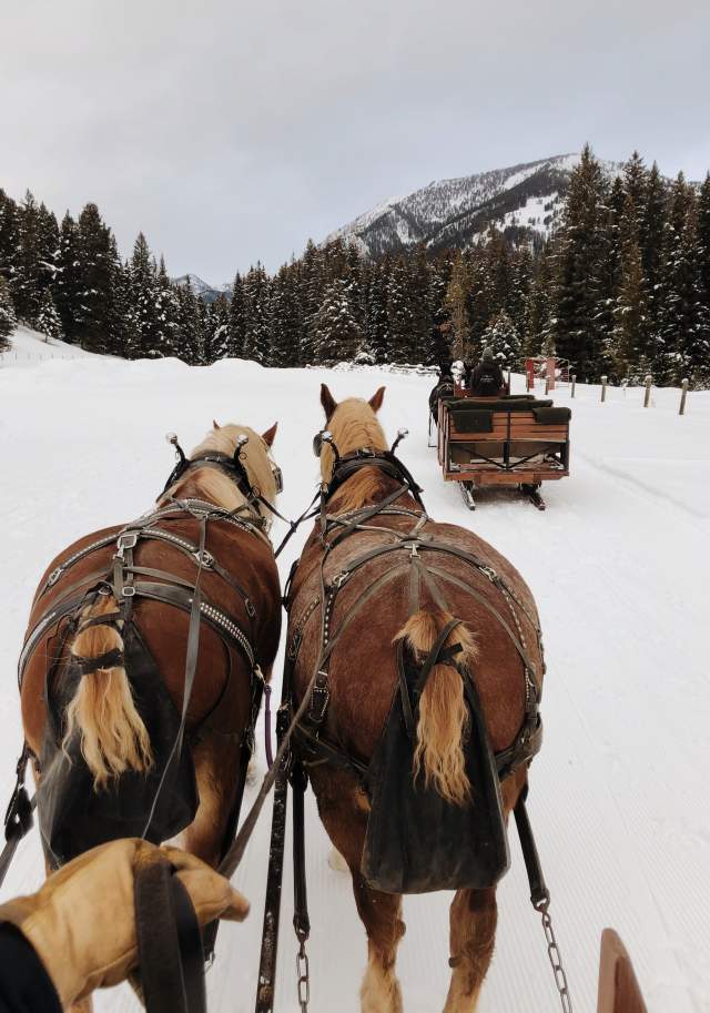 Sleigh Rides in Big Sky