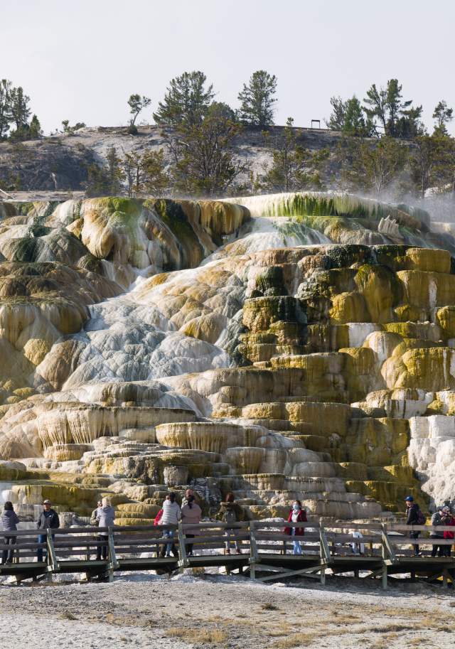 Yellowstone Thermal Terrace