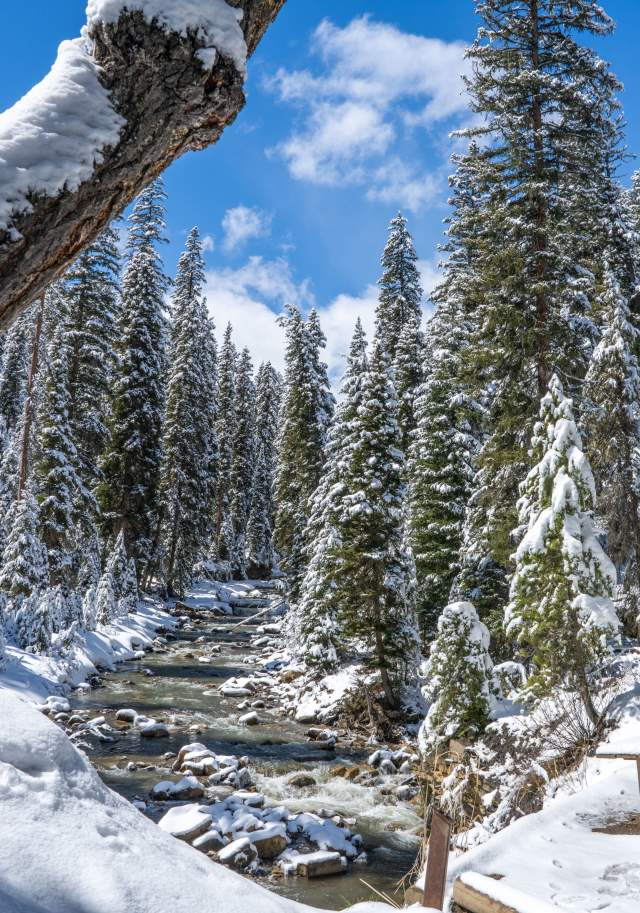 Winter in Big Sky