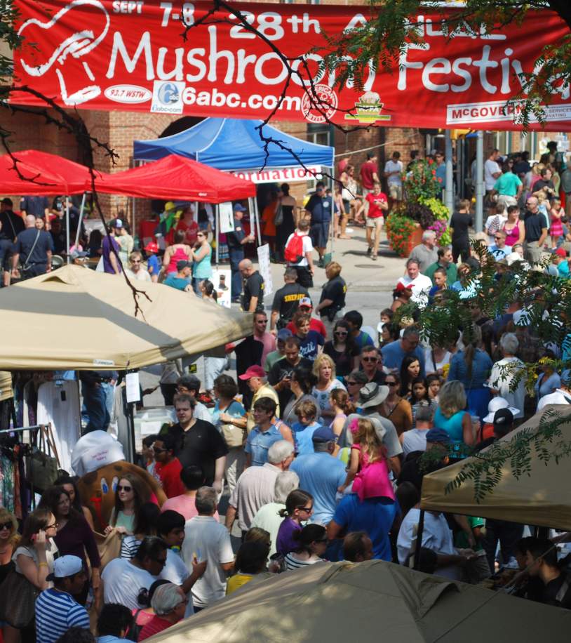 Mushroom Festival