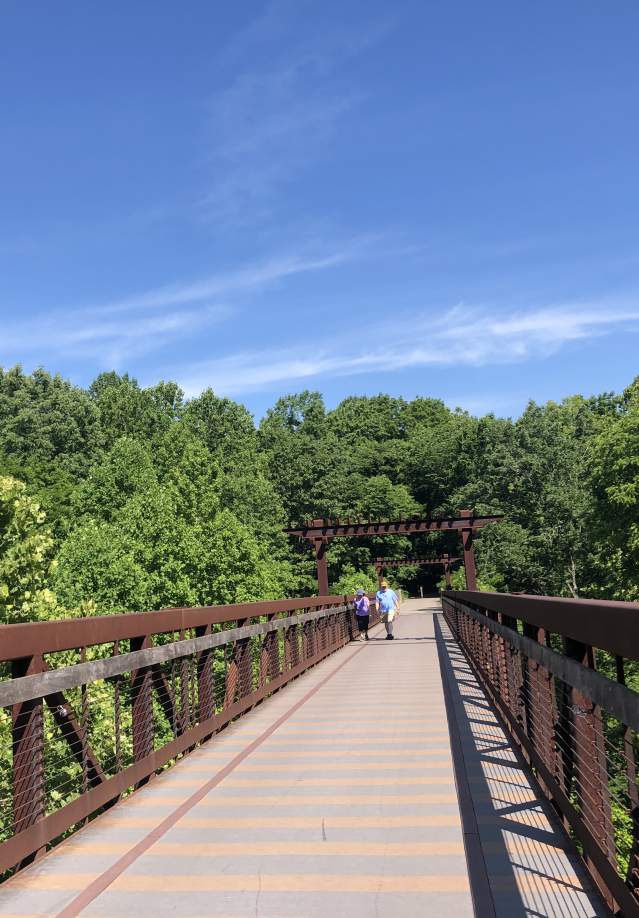 people walking on a greenway