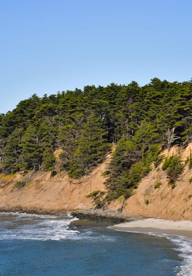 Moss Beach Distillery