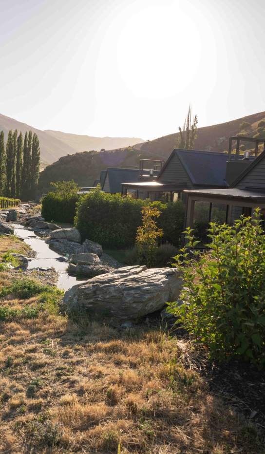 Villa's surrounded by a vineyard and mountains