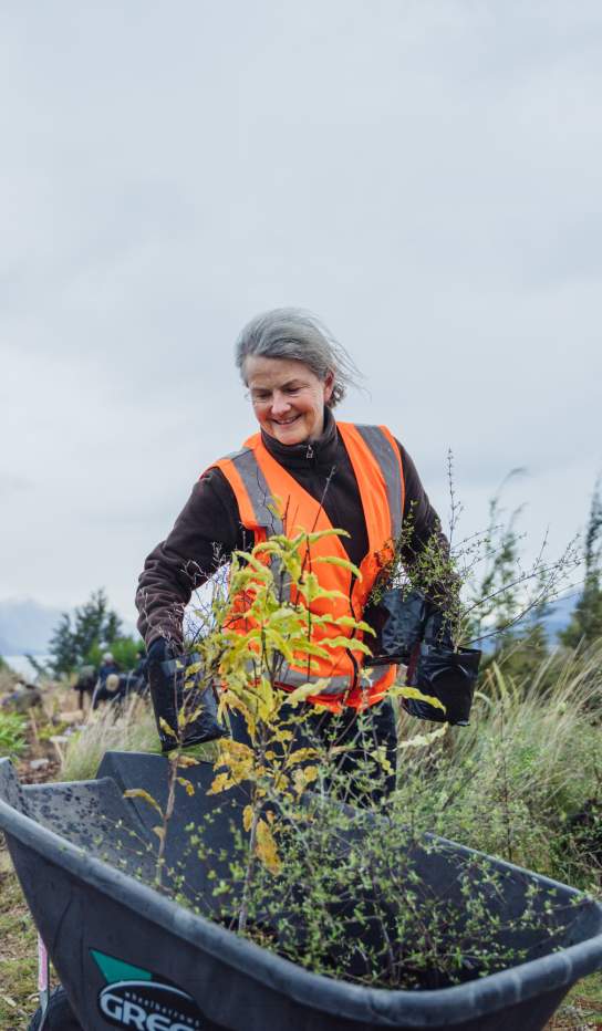 A woman with a wheelbarrow at a tree planting event