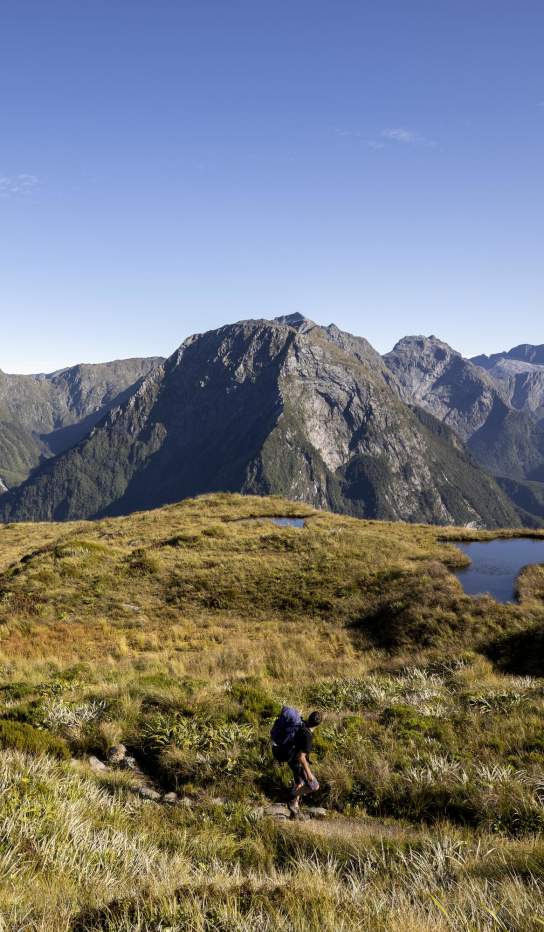 People walking among tussock and tarns and mountain views