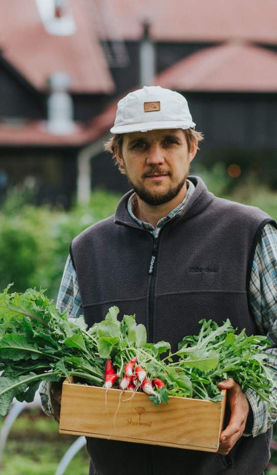 Man holding a box of radishes in the Sherwood Garden