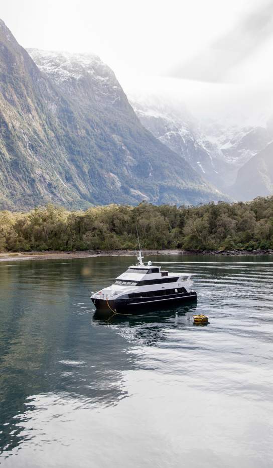Wide aerial shot of boat in a fiord surrounded by green bush and snow capped mountains