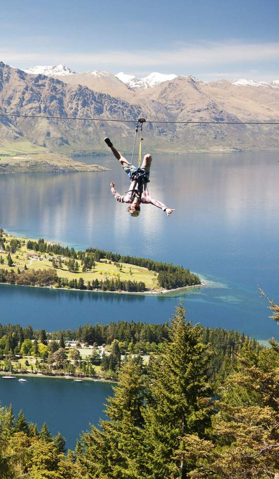 Ziptrek Ecotours