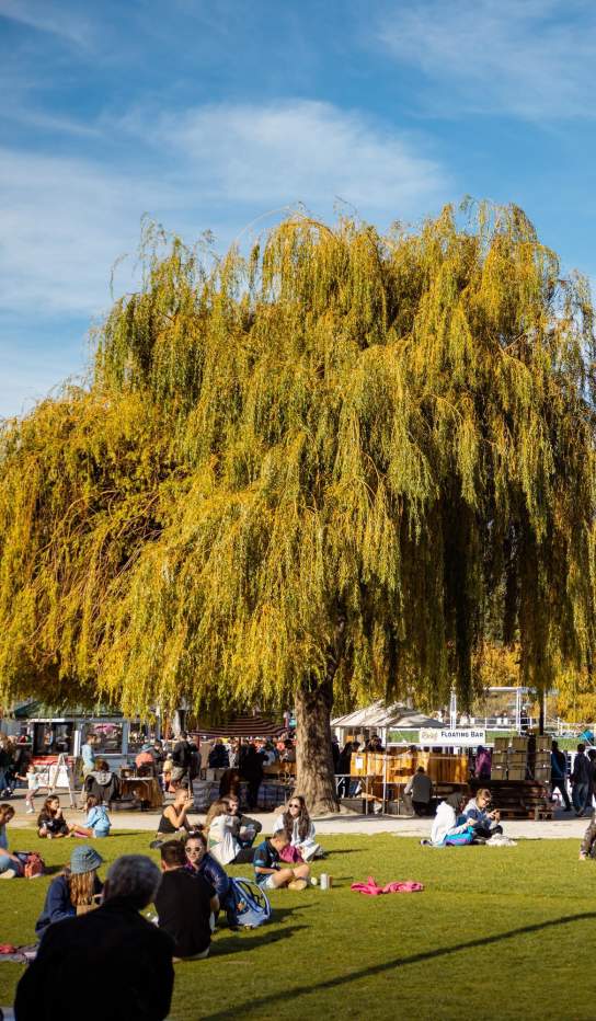 Earnslaw Park in Autumn with friends relaxing on the green