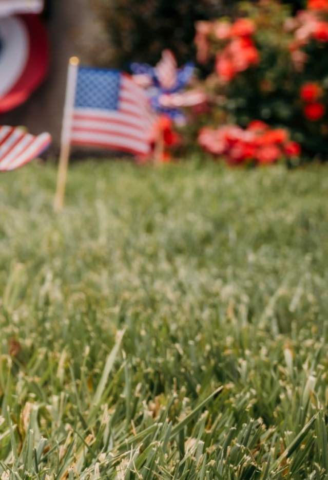 Flag Spring Fling Patriotic