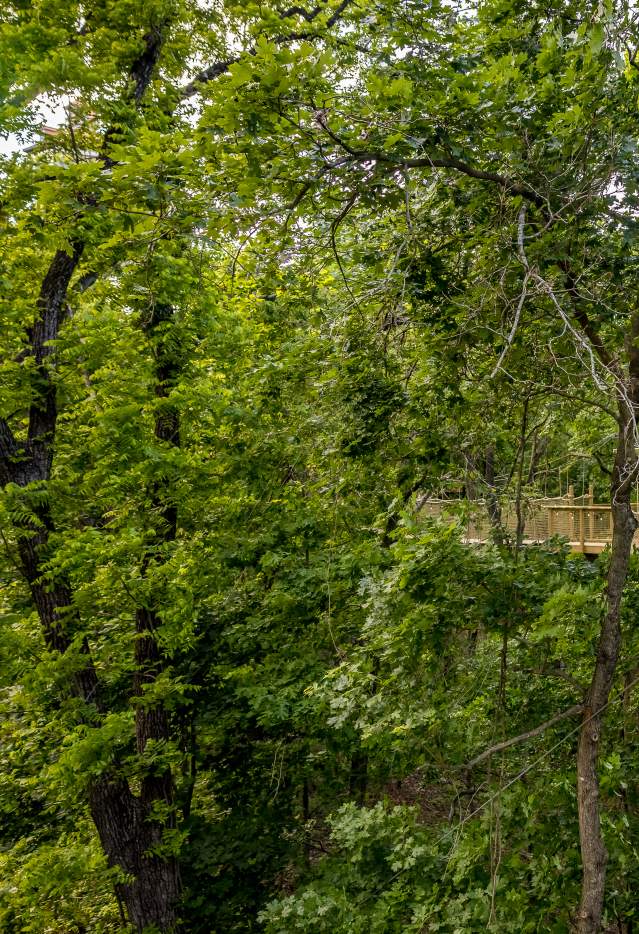 Shepherd 2024 Spring Attraction Couple