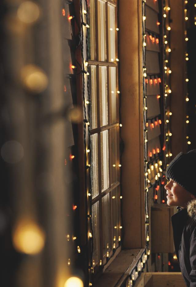 Family_Silver_Dollar_City_SDC_Christmas