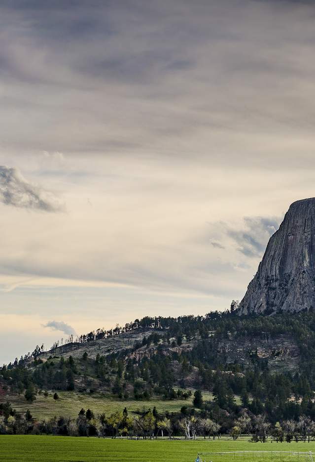 Devils Tower