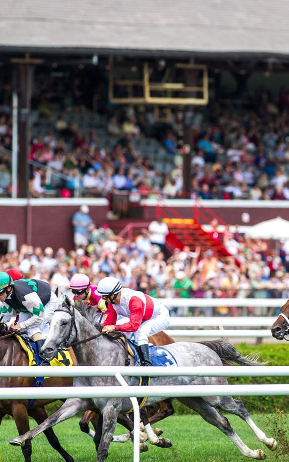 Horses running at Saratoga Race Course