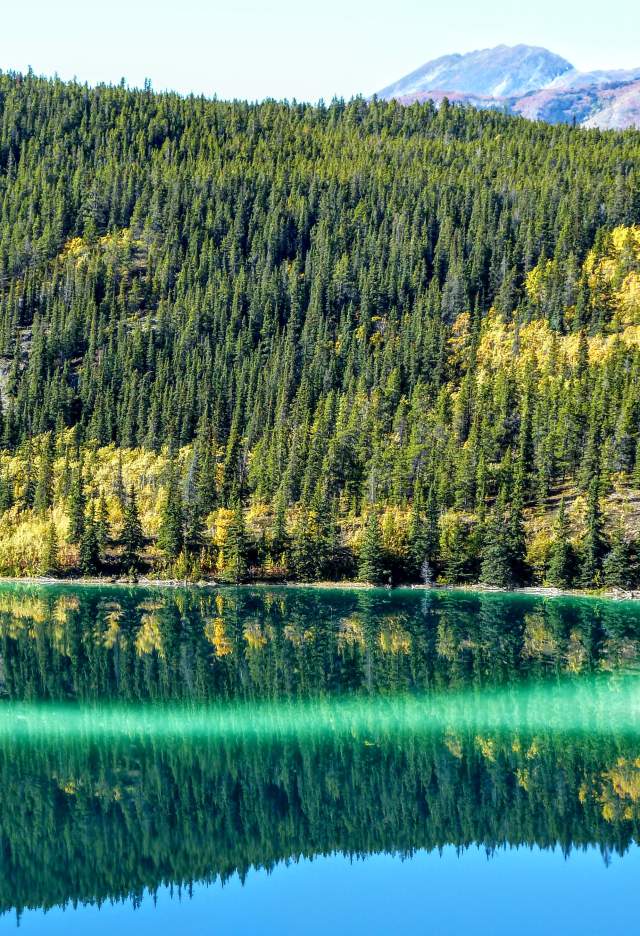 FE Emerald Lake