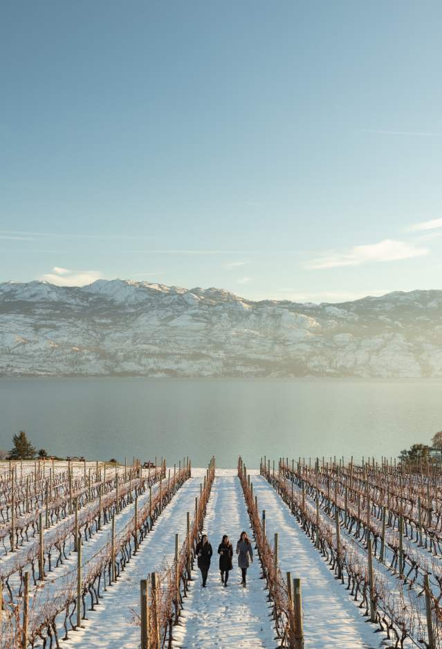 Quails' Gate Winery-Snowy Winter (11)
