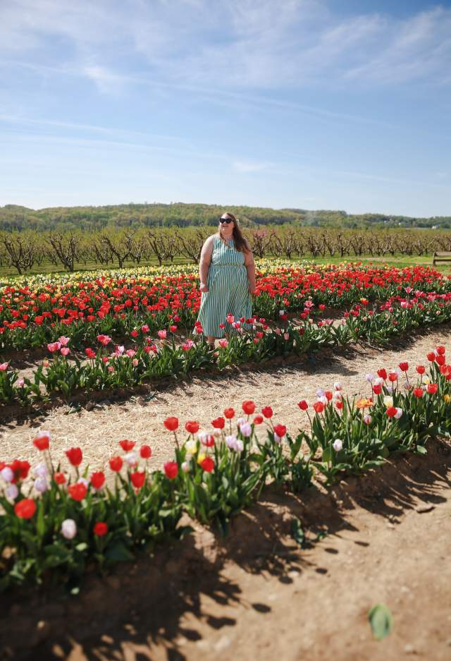 woman enjoying the colorful tulip field at Flinchbaugh's