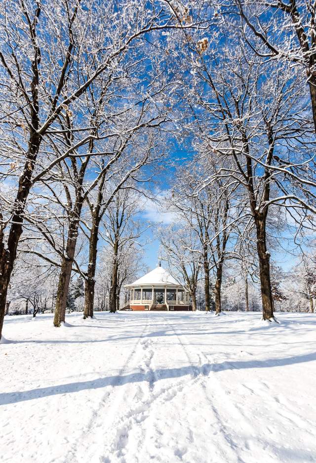 Pavilion In Winter