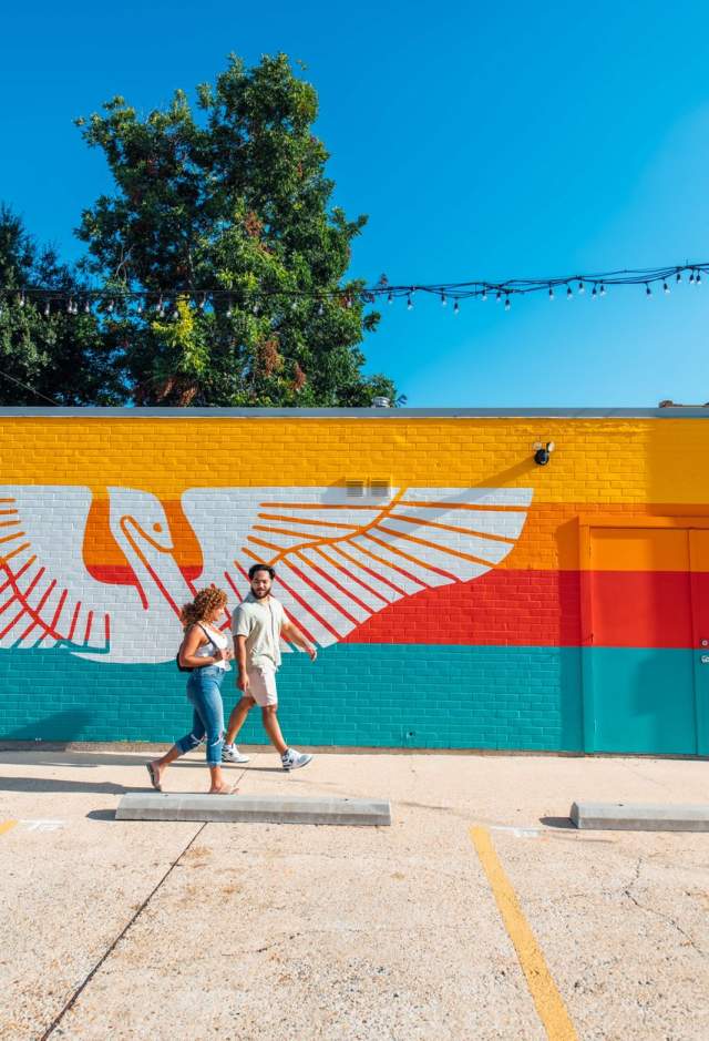 Brown Pelican Mural