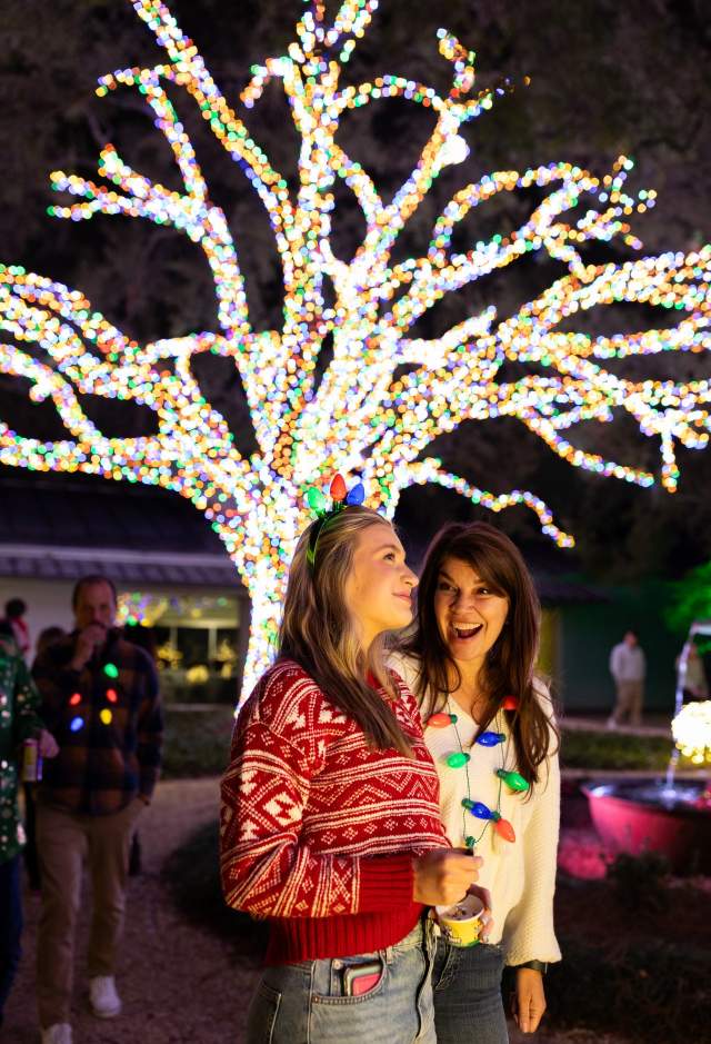 Louisiana Lights