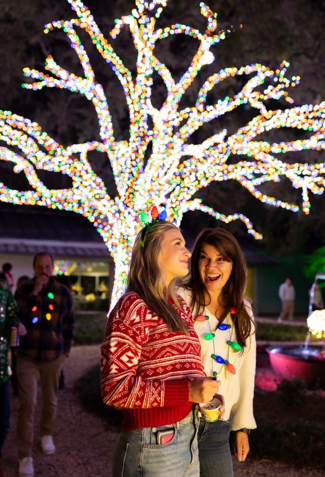 Louisiana Lights in Baton Rouge | Nov. 29 - Dec. 29