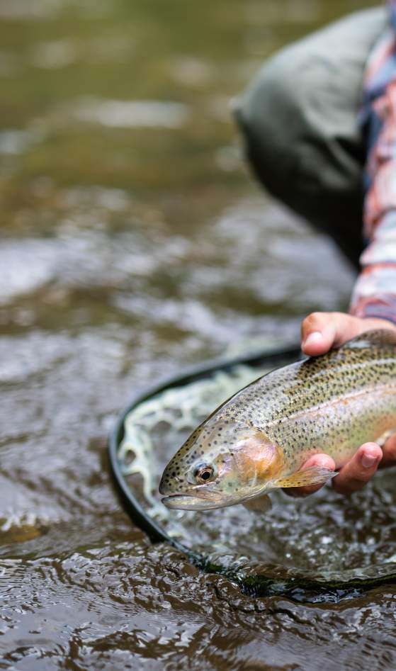 Fishing - Tuck Fly Shop