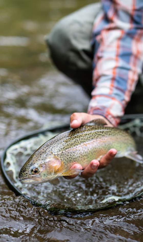 Fishing - Tuck Fly Shop