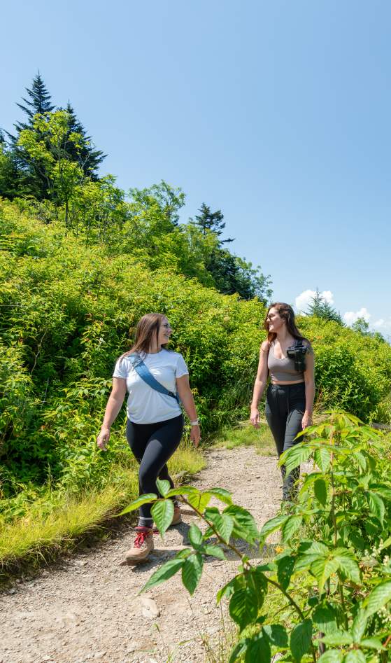 Trails Slider - Waterrock Knob