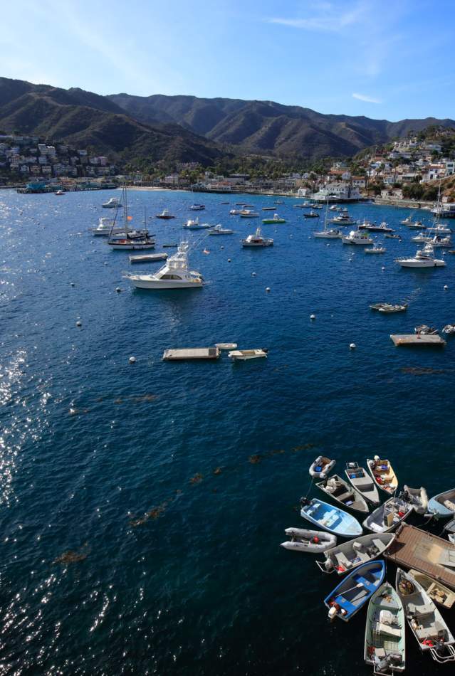 Catalina
